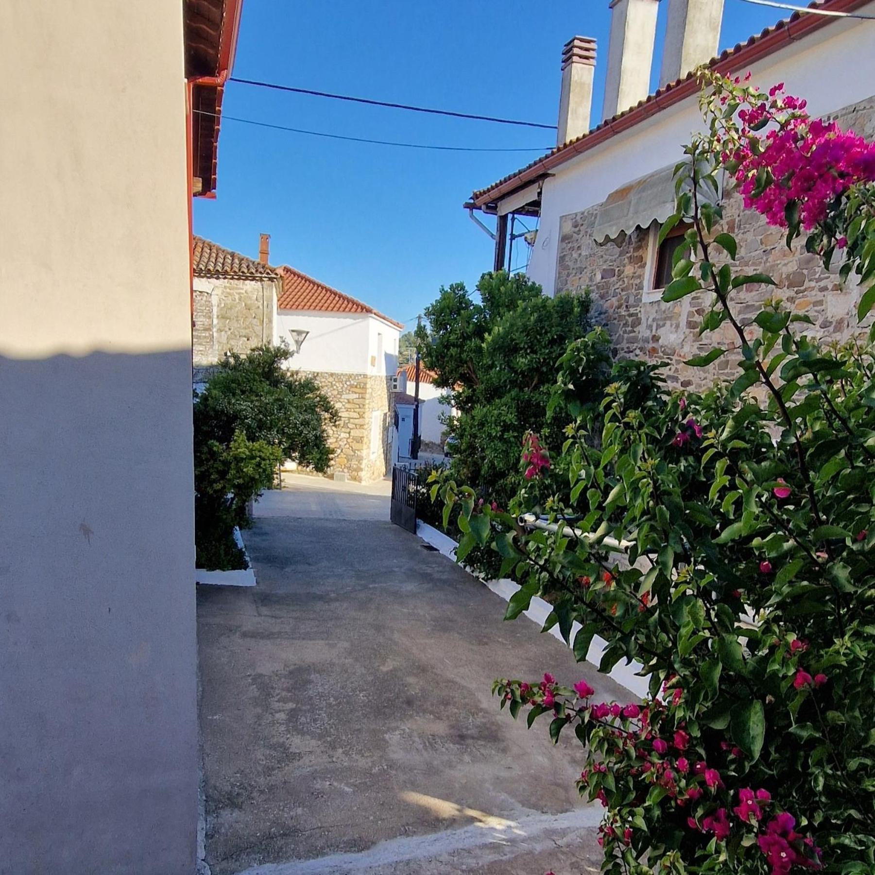 Apartamento Nikolaos House Agios Nikolaos  Exterior foto