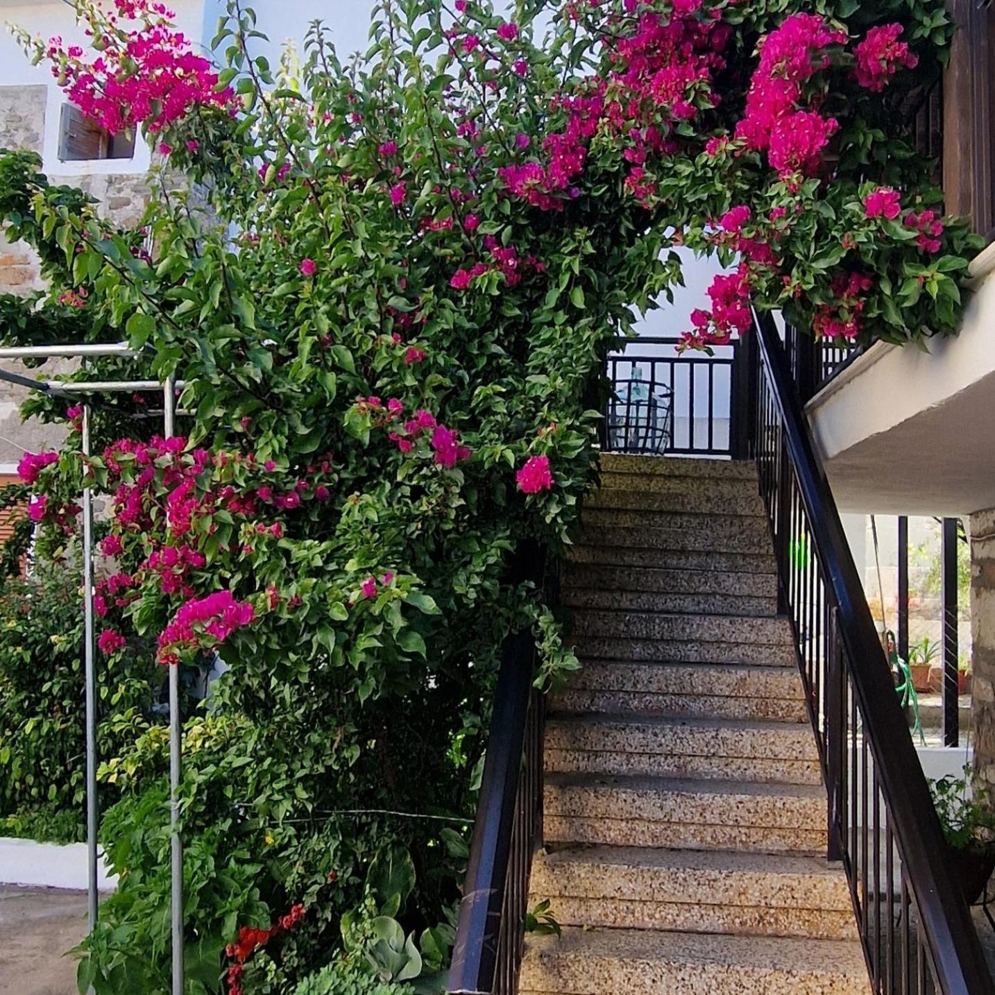 Apartamento Nikolaos House Agios Nikolaos  Exterior foto